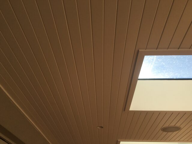 V-groove panel ceiling with rectangular skylight, recessed downlight and speaker grille.