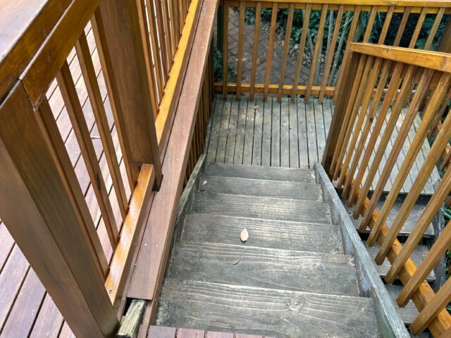 Timber deck stairs with balustrade and landing, bordered by lush garden.