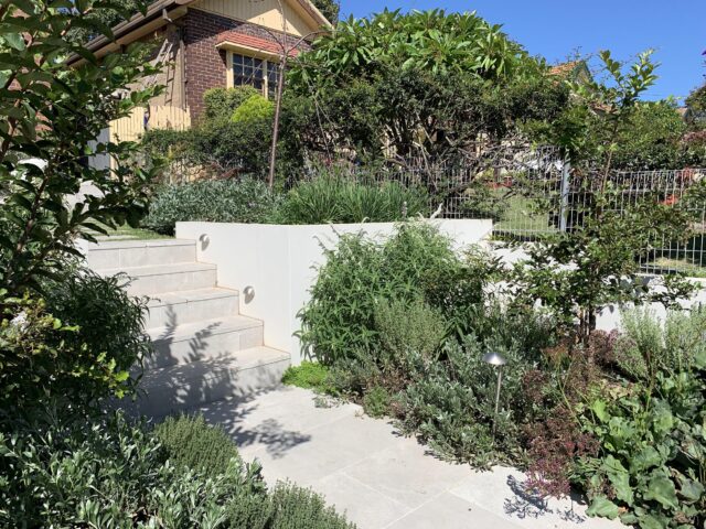 Stone garden steps with white retaining walls, lush planting and low path lighting.