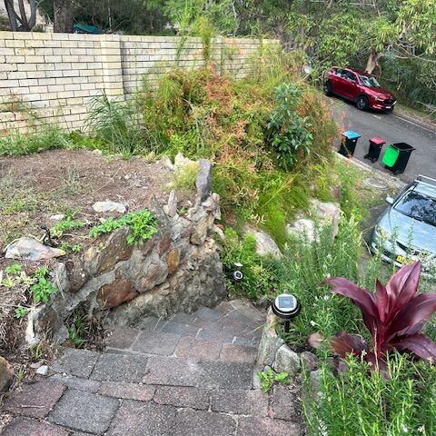 Stone garden steps and retaining wall with dense planting, descending toward the street.