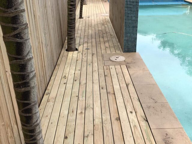 Timber poolside decking with palm trunk cutouts, tiled feature wall and tall privacy fence.