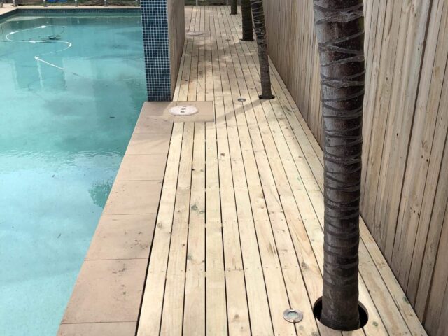 Timber poolside decking with palm tree cutouts beside a privacy fence.