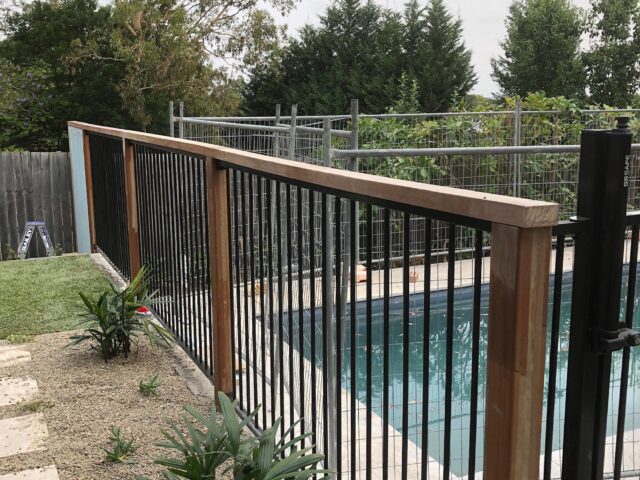 Timber-capped black metal pool fence with stepping stones and new planting beside pool.