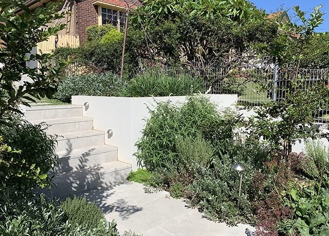 Tiered garden with stone steps, white retaining wall and step lights among greenery.